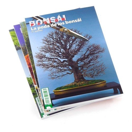 La poda de los bonsáis (1ª parte) -  BONSÁI PASIÓN - nº80