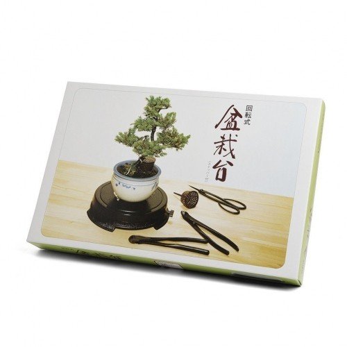 Set de 3 herramientas japonesas para bonsái KIKUWA