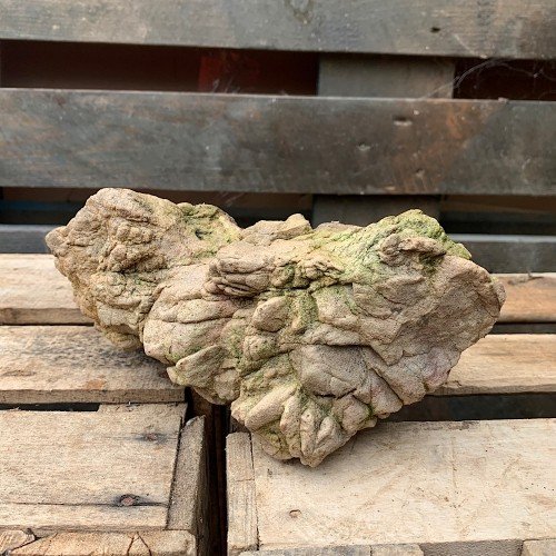 Piedra SUISEKI natural de origen volcánico tiene unas medidas...