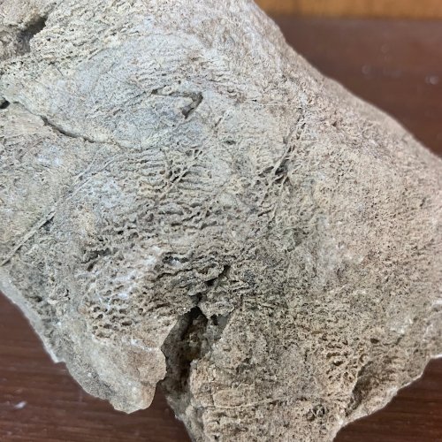 Piedra SUISEKI natural de origen volcánico tiene unas medidas de 15x11 cm